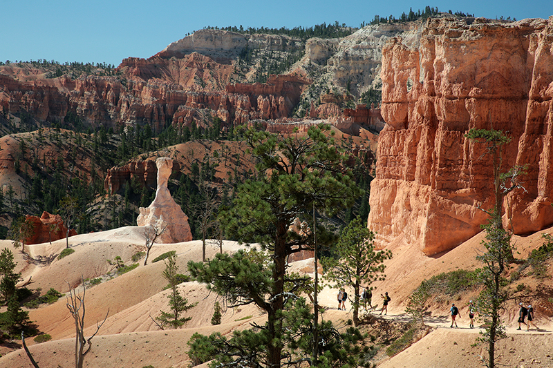 Bryce Canyon : Utah : Landscape Photos : Richard Moore : Photographer